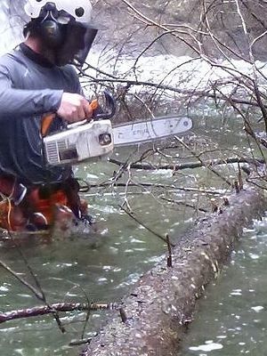 Baumfällung am Steilhang im Wasser