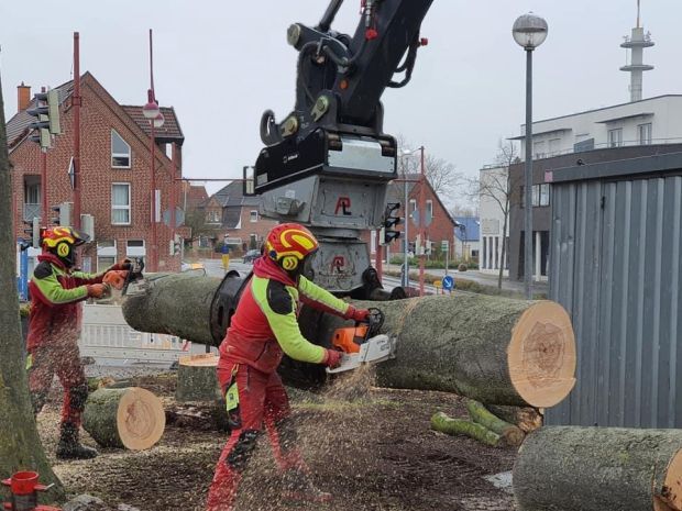 Baumfällung mit Fällkran in Münster und Greven