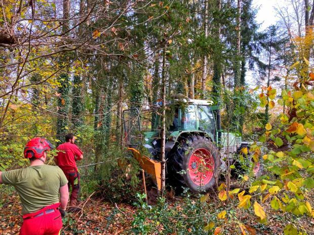 Forstarbeiten durch die Baumpflegezentrale in Münster