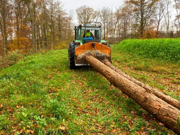 Forstarbeiten durch die Baumpflegezentrale in Münster