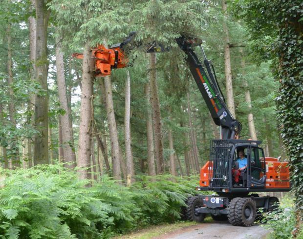 Waldrandpflege und Forstarbeiten vom professionellen Forstbetrieb in Münster und Greven
